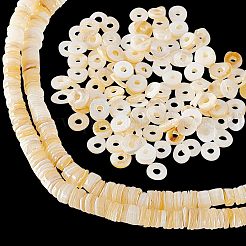 2 filo di perline di conchiglia&nbsp;SSHEL-NB0001-29