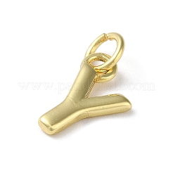 Cremagliera charms ottone placcatura&nbsp;KK-P245-06G-Y