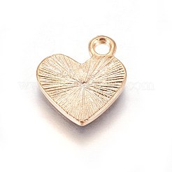 Legierung Emaille Anhänger / charms&nbsp;PALLOY-F248-061LG-03