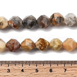Chapelets de perles en agate fou naturel&nbsp;G-Z119-A13-03