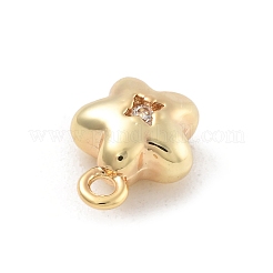 Pendentifs avec zircon cubiques à micro-pavés en laiton&nbsp;LS-KK-D283-19G