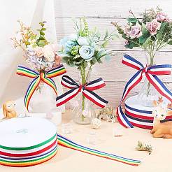 Nastri piatti in poliestere grosgrain a righe&nbsp;EC-WH0003-13-A06