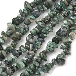 Natürliche Jade Perlen Stränge&nbsp;G-Z081-A02