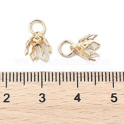 Blumenregal Überzug Messing Filigrane Perle Kappe Kautionen&nbsp;X-KK-L102-27G-01