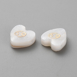 5pcs perles de coquillage blanc naturel&nbsp;LS-BSHE-TAC0004-02F