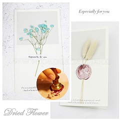DIY Sammelalbum&nbsp;AJEW-WH0100-455