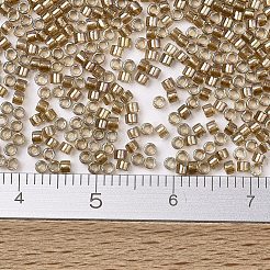 Perline miyuki delica&nbsp;X-SEED-J020-DB2396