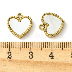 Ionenplattierung (IP) 304 Edelstahl Pavé Muschel Herz Charms&nbsp;FIND-Z028-04G
