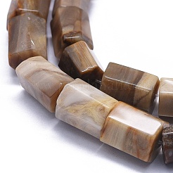 Chapelets de perles en bois pétrifié naturel&nbsp;G-K293-J02-E