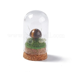 Decorazione naturale dell'esposizione del fungo dell'occhio di tigre con copertura della cloche della cupola di vetro&nbsp;G-E588-03F