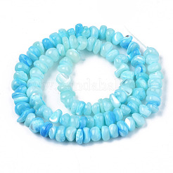 Chapelets de perles en coquillage naturel&nbsp;SSHEL-S278-131D