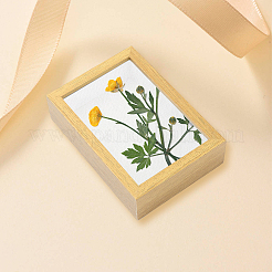 Cadre photo mdf (panneaux de fibres de densité moyenne)&nbsp;DJEW-GF0001-22A