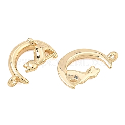 Dijes de acero inoxidable 304&nbsp;SA-CBA7611-01G