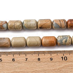 Natürliche Aqua Terra Jaspis Perlen Stränge&nbsp;G-L624-C03-12x8mm