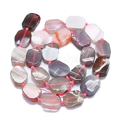 Chapelets de perles en agate naturelle du Botswana&nbsp;G-K245-J10-B01