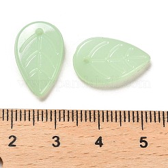 Lässigen Acryl Anhänger&nbsp;OACR-Z016-10A
