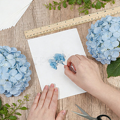 Getrocknetes geprägtes Papier&nbsp;DIY-WH0622-646A