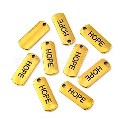 Pendentifs rectangles en alliage de style tibétain&nbsp;TIBEP-Q043-054AG-RS