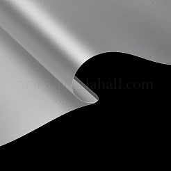 Laminierbeutelfolie Fotoschutzfolien&nbsp;AJEW-WH0472-08C