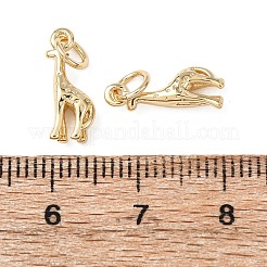 Messing Anhänger & Charms&nbsp;LS-KK-C143-17G