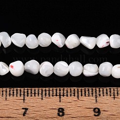 Natürliche Trochidschale / Trochusschalenperlenstränge&nbsp;SSHEL-N040-07