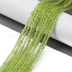Natürliche Peridot Perlenständer&nbsp;G-H042-B31-01