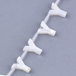 Natürliche Muschel Perlen&nbsp;SHEL-T012-60Y