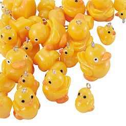 24pcs 4 Arten undurchsichtige Harzanhänger&nbsp;FIND-TA0009-53