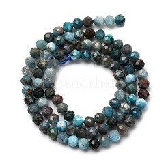 Chapelets de perles en apatite naturelle&nbsp;LS-G-A276-C08-4mm-01