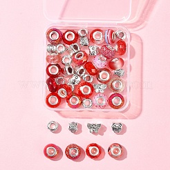 Kit de fabrication de perles européennes en alliage et résine de style tibétain&nbsp;DIY-FS0006-78E