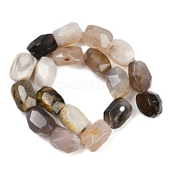 Natur Botswana Achat Perlen Stränge&nbsp;G-F796-C03-01