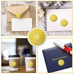 12 Blatt selbstklebende Aufkleber mit Goldfolienprägung&nbsp;DIY-WH0451-032