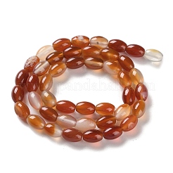 Fili di perline agata rosso naturale&nbsp;G-I369-B11-01