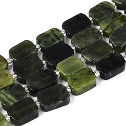 Natürliche kanadische Jade Perlen Stränge&nbsp;G-T138-26A-07