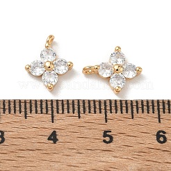 Breloques en laiton et zircon cubique Shegrace&nbsp;XGRQ4H913-680G-A