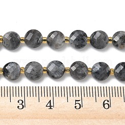 Natürliche Larvikit-Perlenstränge&nbsp;G-K389-B85-01