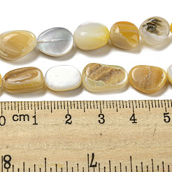 Naturali giallo perline shell fili&nbsp;SSHEL-H072-08