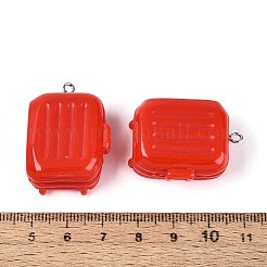 Pendentifs en résine opaque&nbsp;RESI-T061-18C