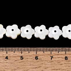 Eau douce naturelle de coquillage perles brins&nbsp;SHEL-A006-03E
