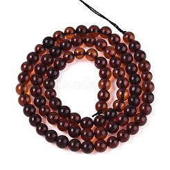 Perline ambra naturale fili&nbsp;G-K387-D01-02