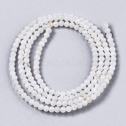 Naturali di acqua dolce perline shell fili&nbsp;X-BSHE-T009-01F