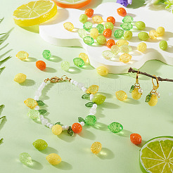 60 Stück 6 Stile transparente und undurchsichtige Acrylperlen&nbsp;OACR-TA0004-51