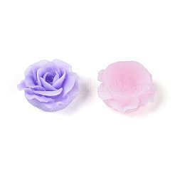 Undurchsichtige Decoden-Cabochons aus Harz&nbsp;RESI-N052-02