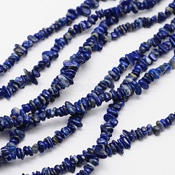 Virutas naturales lapis lazuli abalorios hebras, 3~8x3~12x3~5mm, agujero: 1 mm, alrededor de 32 pulgada