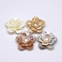 Flower Shell Cabochons, Mixed Color, 46x49x18mm