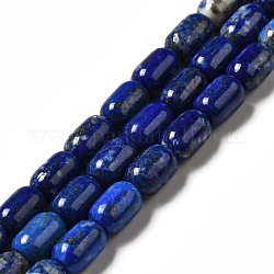Filo di Perle lapis lazuli naturali , colonna, 9x6mm, Foro: 1~1.2 mm, circa 20~21pcs/filo, 7.09~7.48 pollice (18~19 cm)