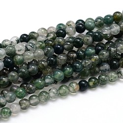 Chapelets de perle ronde en pierre précieuse naturelle, agate, 6mm, Trou: 1mm, Environ 64 pcs/chapelet, 16 pouce