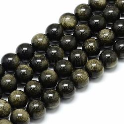 Chapelets de perles en obsidienne dorée naturelle, ronde, 8x7.5mm, Trou: 1mm, Environ 46~49 pcs/chapelet, 15.5 pouce