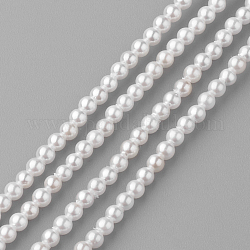 Fili di perline con guiscio, tondo, bianco, 2mm, Foro: 0.5 mm, circa 190pcs/filo, 15.7 pollice
