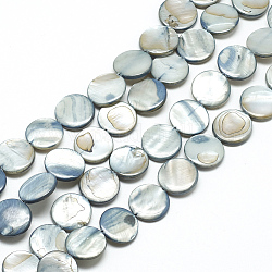 Shell perle naturali fili, tinto, rotondo e piatto, blu cadetto, circa14 mm di diametro, 3 mm di spessore, Foro: 1~1.2 mm, 28 pcs / Filo, 16 pollice